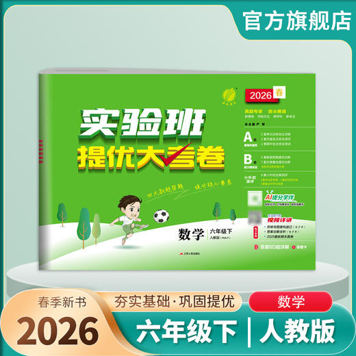 2026春 【人教版】 实验班提优大考卷 六年级数学(下) 商品图1