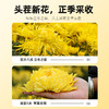 严选 | 杞里香金丝皇菊20g*3罐 自然晾晒 大朵均匀 口感清新甘甜 商品缩略图5