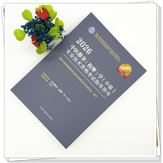 2026年中医推拿（按摩）学（中级）专业技术资格考试指导用书 专业代码349 国家中医药管理局专业技术资格考试委员会 中医药出版社 商品图1