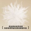 都市丽人保暖内衣女套装优可羽绒加拿大鹅绒保暖衣秋衣秋裤LWHAC1 商品缩略图4
