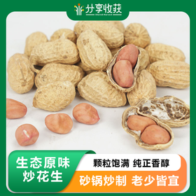 生态原味炒花生 | 颗粒饱满 纯正香醇 | 公平贸易 * Ecological original flavor fried peanuts