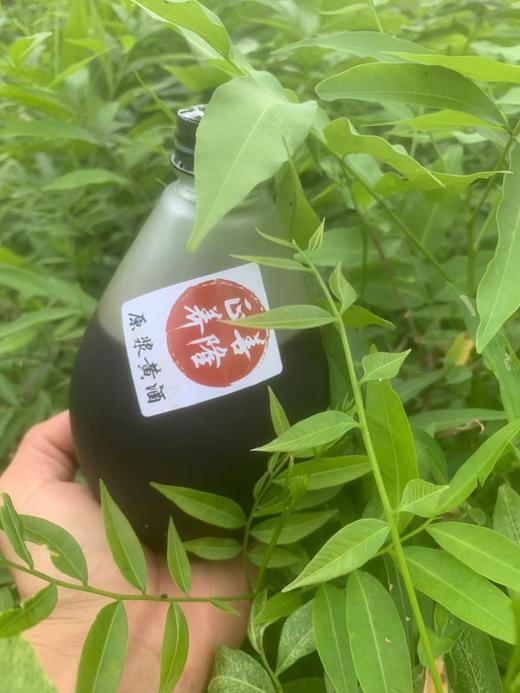 善隆正养古法火炙原浆女儿红黄酒 商品图3