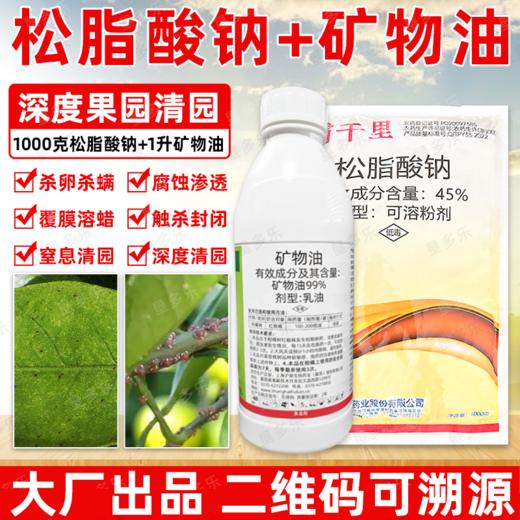矿物油松脂酸钠套餐果树清园剂柑橘树介壳虫红蜘蛛专用清园剂农用 商品图1