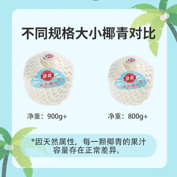 佳农泰国进口椰青 6粒单果约800g 赠开椰器吸管新鲜水果源头直发 商品图1