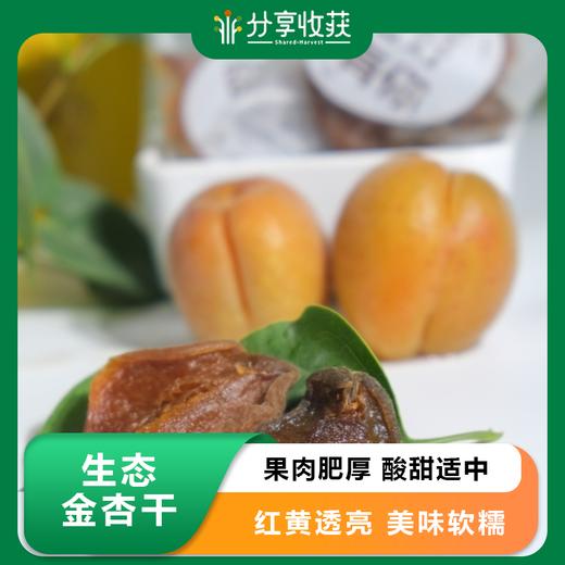 生态金杏干 | 合作生产 | 基地直发包邮* Ecological dried apricot 商品图0