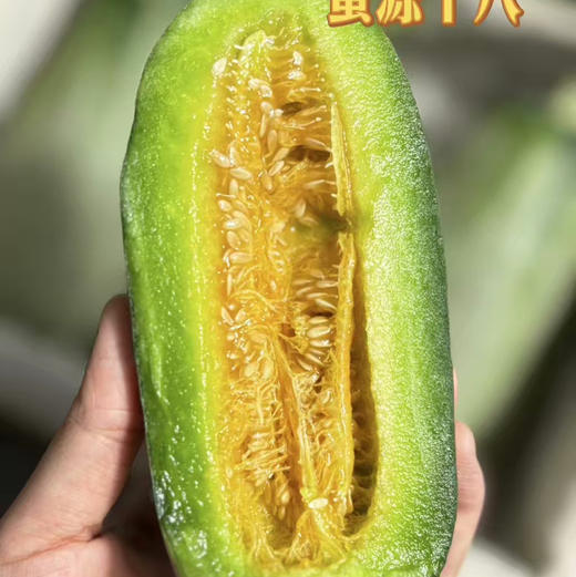 【蜜七七新品妙脆角酥瓜】健康瘦身水果伴侣，香甜爽口，清脆爽口，富含维生素，矿物质，不一样的味道 商品图2