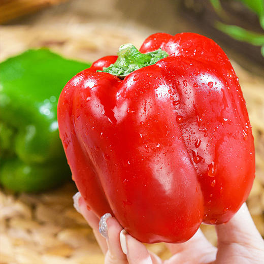 新鲜三色彩椒红黄绿三拼可生吃新鲜沙拉蔬菜现摘现发色泽鲜艳汁水充盈个大饱满亦蔬亦果健身达人独爱 商品图4