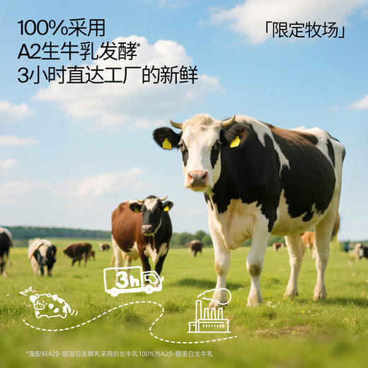 双12返场❗️🧀️奶酪博士-A2婴标奶酪酸奶29.9得7袋❗️一袋只要4.2❗️ 商品图5