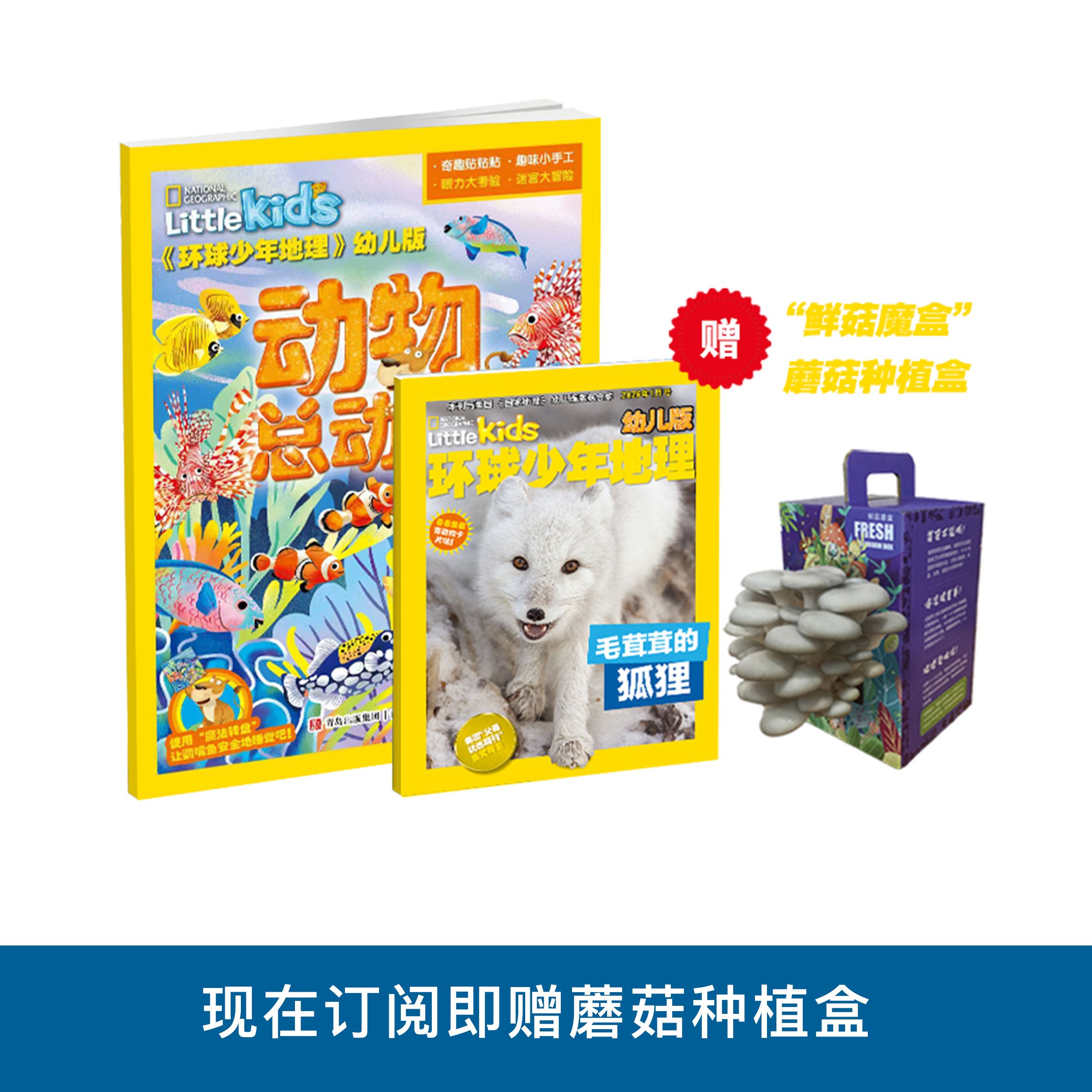 《环球少年地理》 幼儿版2026年12期，每期配套《动物总动员》游戏书，共24本