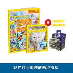 《环球少年地理》 幼儿版2026年12期，每期配套《动物总动员》游戏书，共24本