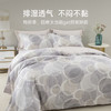 雅芳婷新款60支摩登丝床上四件套床笠款莫代尔天丝被套高级感套件 商品缩略图3