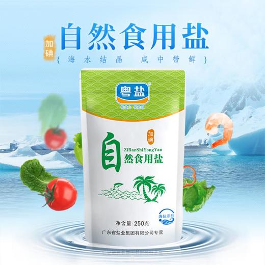 自然食用盐250g 商品图0