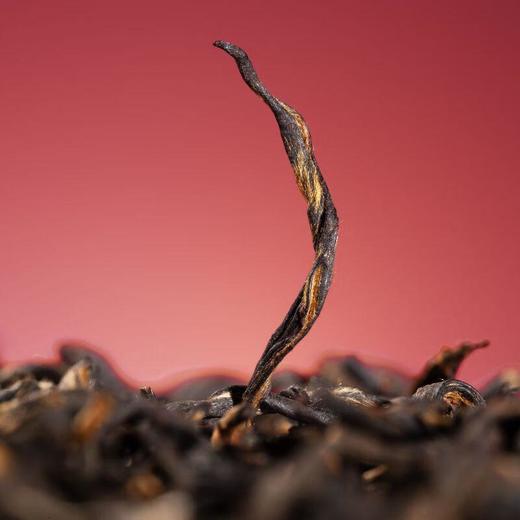 马到成功★★·武夷红茶·金骏眉 184g/盒 商品图2