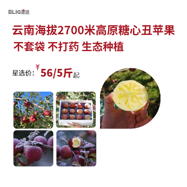【高原太阳斑糖心苹果 】脆甜多汁 果味浓郁/生态种植不套袋不打蜡 糖心率80% 现摘现发 顺丰包邮
