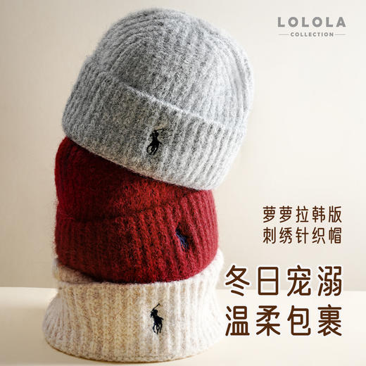 萝萝拉丨韩版刺绣标针织帽 商品图2