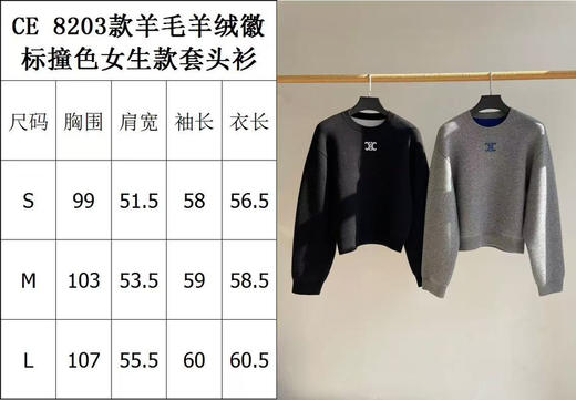 1218-5 渠道圆正 ce羊毛羊绒双层复合撞色徽标提花女款套头衫 我穿L 商品图1