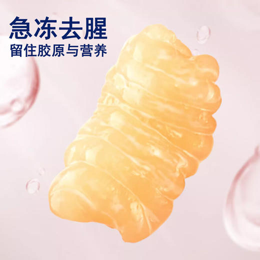 【陈鱼洛燕 燕窝花胶奶冻】 送礼精选 平价又养颜  甄选进口鱼胶燕窝 开盖即食 商品图3