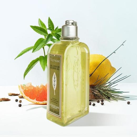 L'occitane/欧舒丹 马鞭草身体乳250ml+马鞭草沐浴露250ml 商品图2