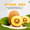 【黄心猕猴桃】细腻软糯一口爆汁维C小炸弹12枚/24枚 商品缩略图5