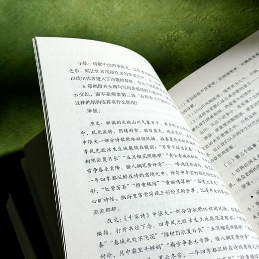 教有学理的语文 大夏书系 语文之道 刘兆刚 初中语文经典课例 商品图11