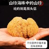 猴头菇黑龙江伊春 商品缩略图1