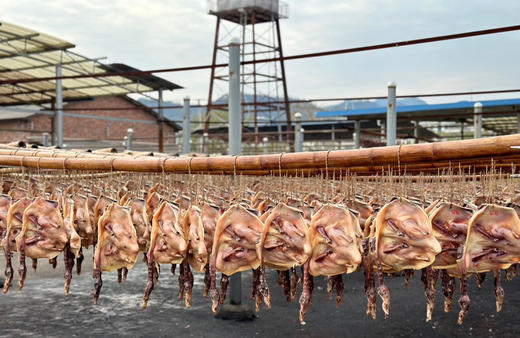 【宏丰精选】赣南腊味 邓万德板鸭，百丈泉腊鹅  肉质细嫩紧密，香味浓郁， 商品图8