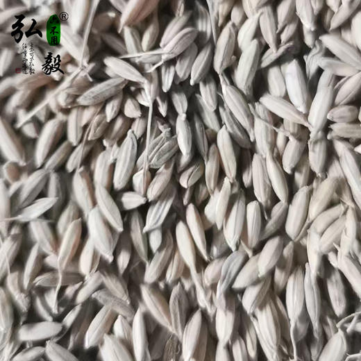 【弘毅六不用生态农场】六不用 稻谷 商品图2