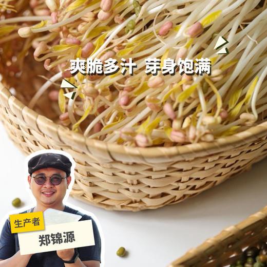 生态绿豆芽 | 绿家自产* Eco- mung bean sprouts | Self-production 商品图0