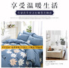 生态棉四件套亲肤透气四季通用床上用品 商品缩略图0