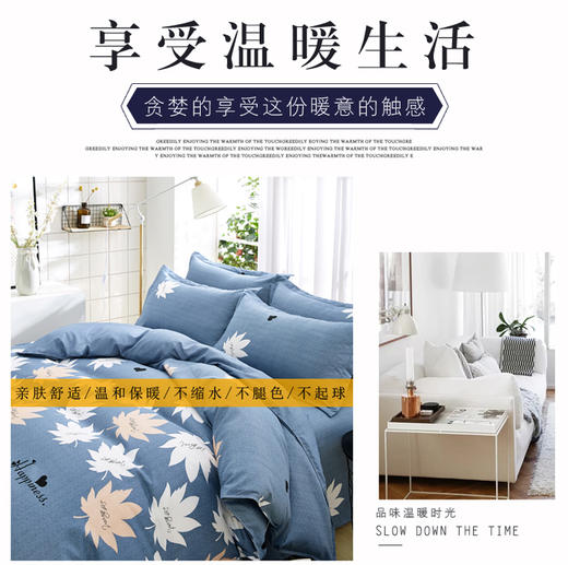 生态棉四件套亲肤透气四季通用床上用品 商品图0