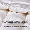 多喜爱 金羽朵95进口白鹅绒加厚冬被-维斯谧境【波兰进口】【95%绒子含量】【100S长绒棉】1000+洁净度 拈花扩容工艺 3D航空舱 10CM检测口 高档皮箱 商品缩略图3