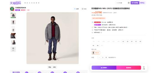 排骨羽绒服，连帽+立领一起。胸口小标衍缝填充式羽绒外套C120968 商品图5