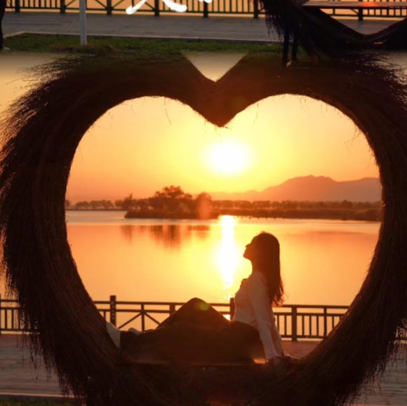 周三/六日/元旦1天中午出发【野鸭湖日落68元】橘子日落-网红打卡拍芦苇漫天の闯入金色芦苇荡的冬日童话