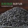 璞匠有机生黑芝麻新货家用打豆浆可用非熟黑芝麻有机五谷杂粮550g罐装 商品缩略图3