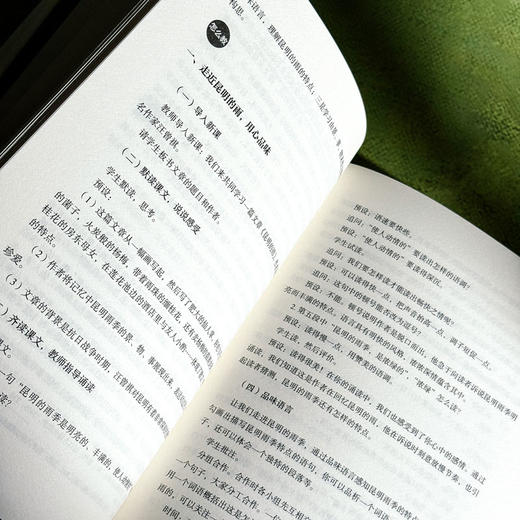 教有学理的语文 大夏书系 语文之道 刘兆刚 初中语文经典课例 商品图13