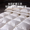 多喜爱 金羽朵95进口白鹅绒加厚冬被-维斯谧境【波兰进口】【95%绒子含量】【100S长绒棉】1000+洁净度 拈花扩容工艺 3D航空舱 10CM检测口 高档皮箱 商品缩略图2