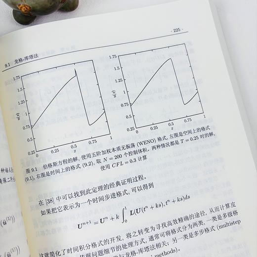守恒律方程的数值方法：从分析到算法 商品图4