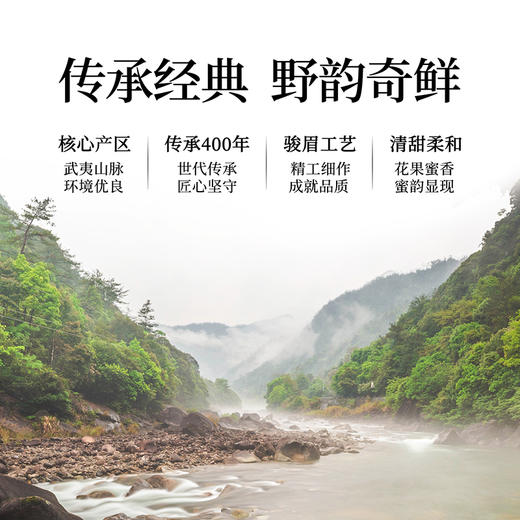 正山堂骏眉中国正心发展 金枝玉叶 特级红茶正宗单芽罐装礼盒装送礼 商品图2