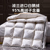 多喜爱 金羽朵95进口白鹅绒加厚冬被-维斯谧境【波兰进口】【95%绒子含量】【100S长绒棉】1000+洁净度 拈花扩容工艺 3D航空舱 10CM检测口 高档皮箱 商品缩略图1