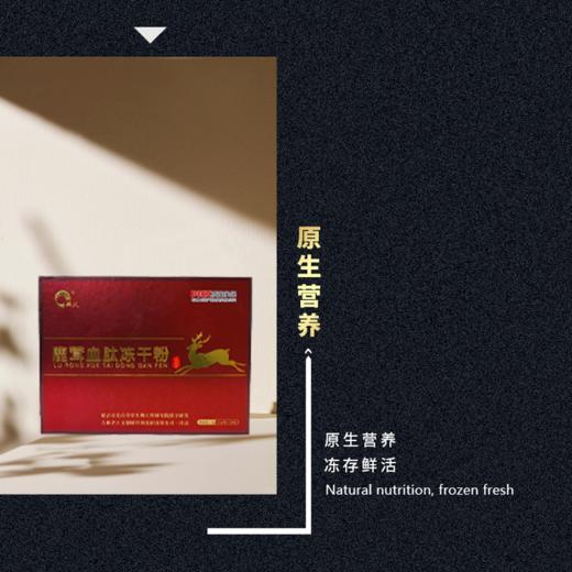 兴合吉供鹿茸血肽冻干粉【15g】 商品图2