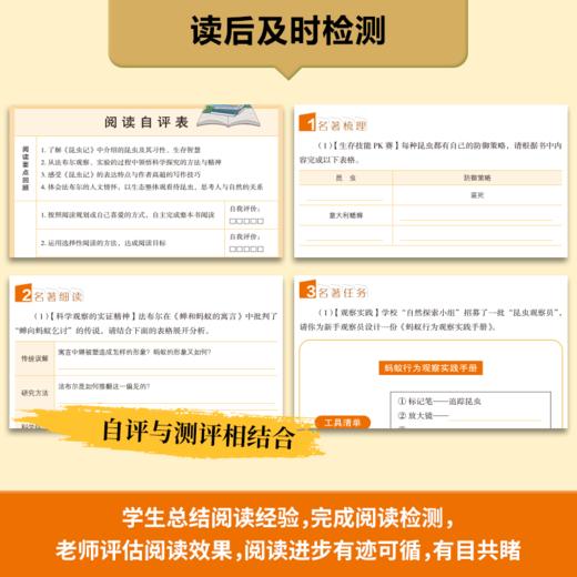 名著阅读课程化丛书(升级版)昆虫记 商品图3