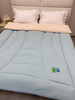 松植屋糖果单人抱抱被 A类大豆冬被子学生宿舍冬季被芯大豆纤维亲肤透气 商品缩略图0