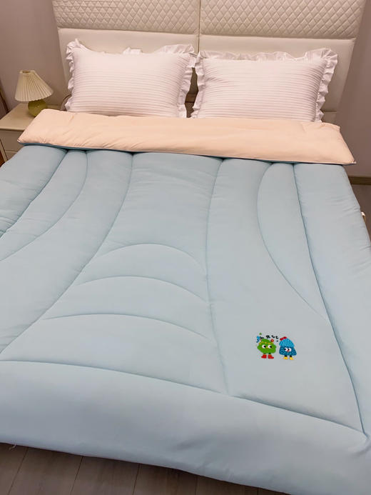 松植屋糖果单人抱抱被 A类大豆冬被子学生宿舍冬季被芯大豆纤维亲肤透气 商品图0