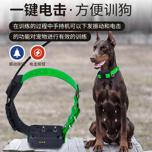 美舟豹T16猎狗定位器大山无信号猎犬GPS项圈T16北斗卫星无线定位 商品图3