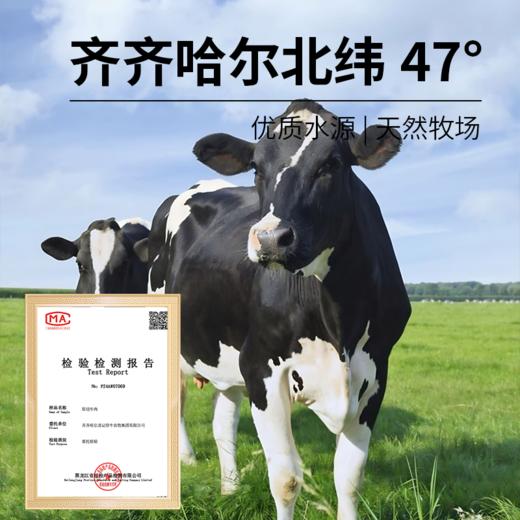 齐齐哈尔-牛肉饼-200g*3盒 商品图2