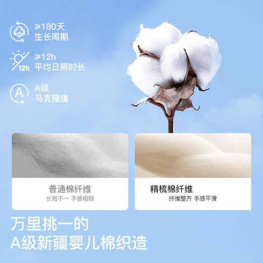 likeuu儿童内裤纯棉男童女童礼盒红色马年本命年发育期女25年新四角裤dr 商品图1