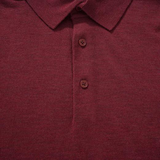 男款羊毛针织Polo衫毛衣ho015 商品图2