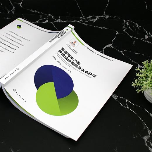 重度污染产地种植结构调整与生态补偿 商品图3