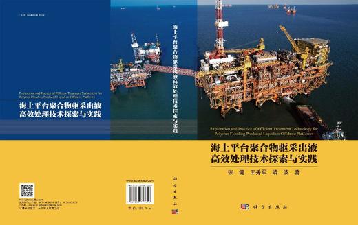 海上平台聚合物驱采出液高效处理技术探索与实践 商品图3