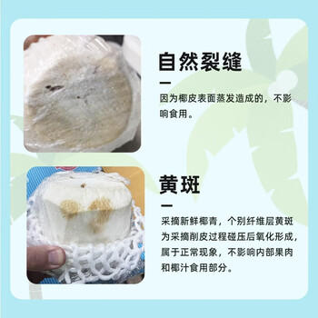 佳农泰国进口椰青 6粒单果约800g 赠开椰器吸管新鲜水果源头直发 商品图0